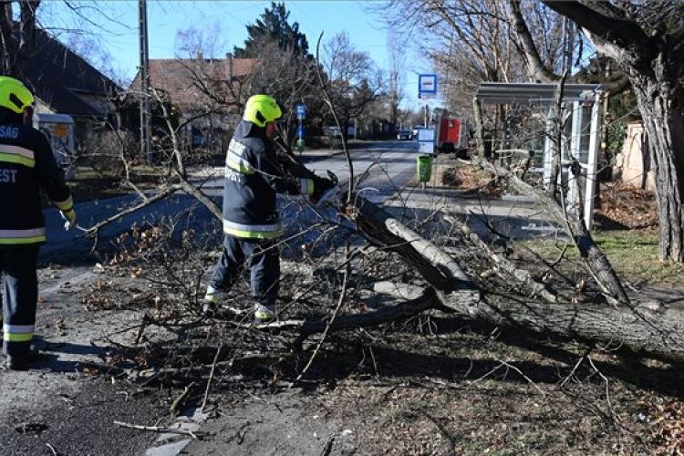 Súlyos károkat okozott a vihar Oroszlányban és környékén